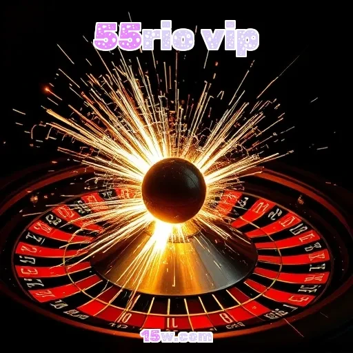 55rio vip Segurança